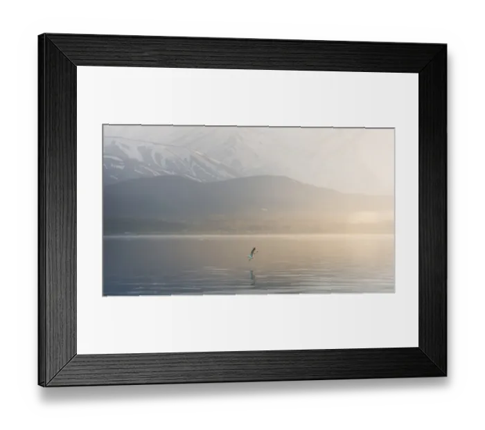 Framed Print : Seagull seizing over lake Van