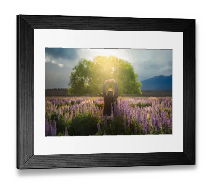 Framed Print : A girl standing in lupines field with sun shine Framed Print : A girl standing in lupines field with sun shine