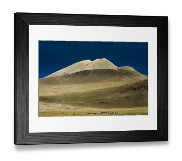 Framed Print : Sheep herd in Tibetan plateau Framed Print : Sheep herd in Tibetan plateau