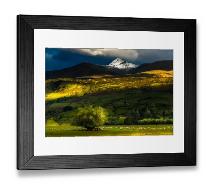 Framed Print : New Zealand green field and mountain Framed Print : New Zealand green field and mountain