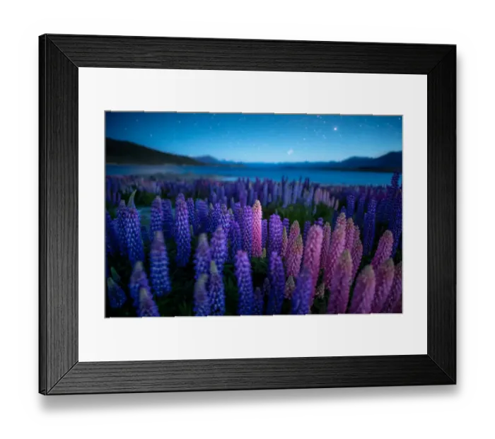 Framed Print : Night vire of Lupines field with starlights