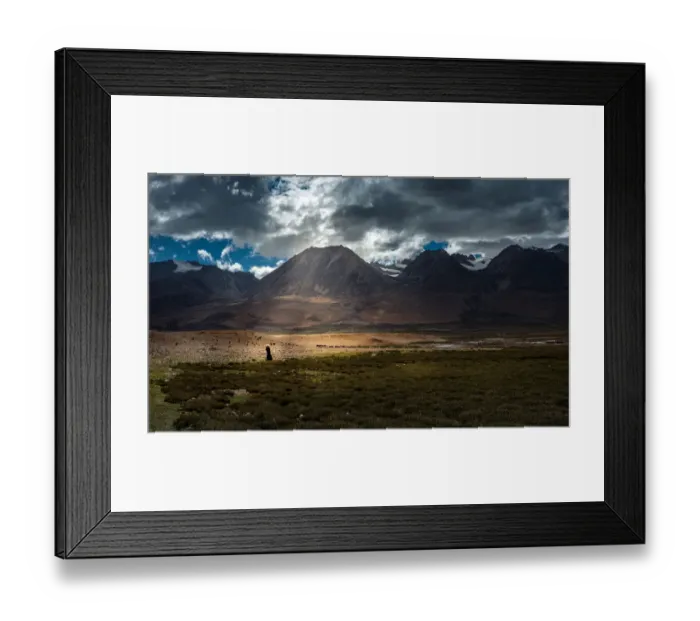 Framed Print : Shepherd walking through grass land Framed Print : Shepherd walking through grass land