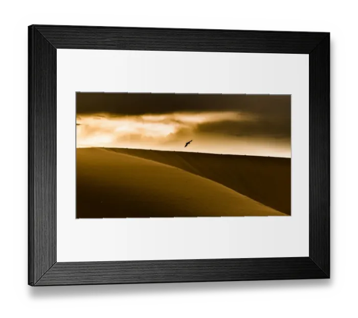 Framed Print : Crow flying over sand dunes