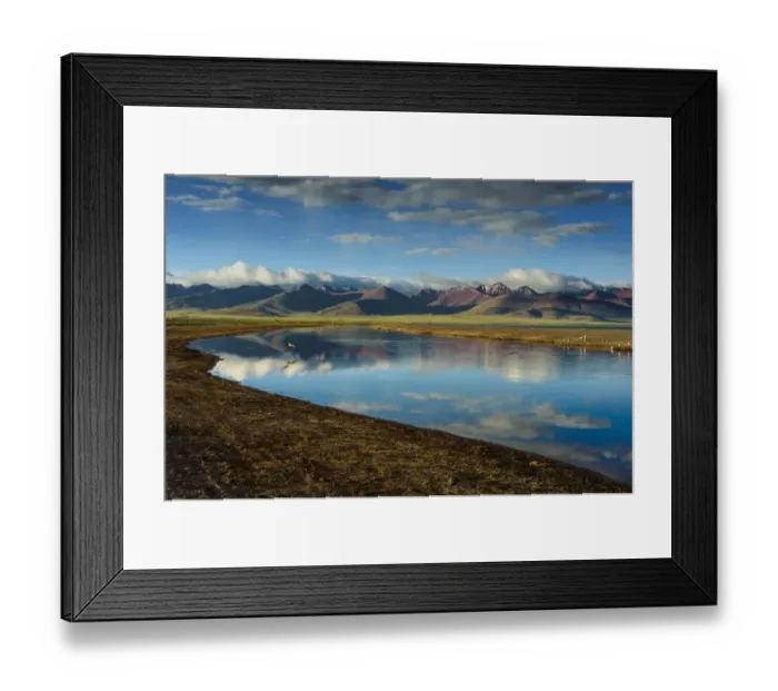 Framed Print : Seagull flying over Namtso lake Framed Print : Seagull flying over Namtso lake