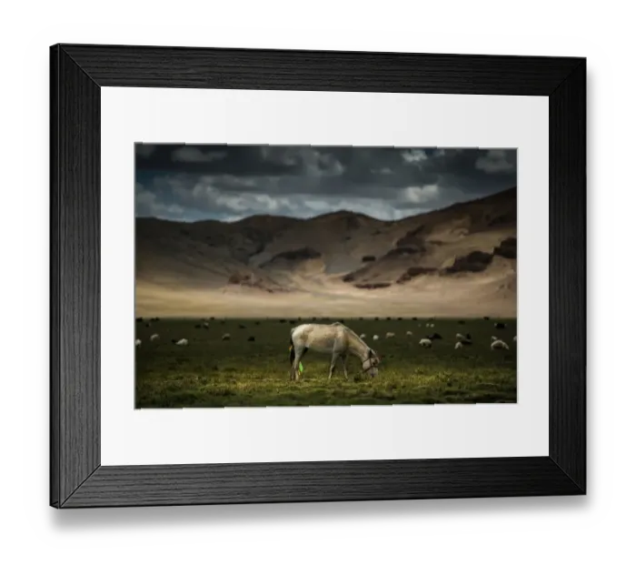 Framed Print : Horse stands in grass field