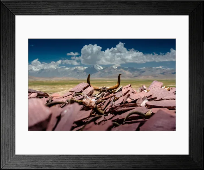 Framed Print : Yak skull on bricks Framed Print : Yak skull on bricks