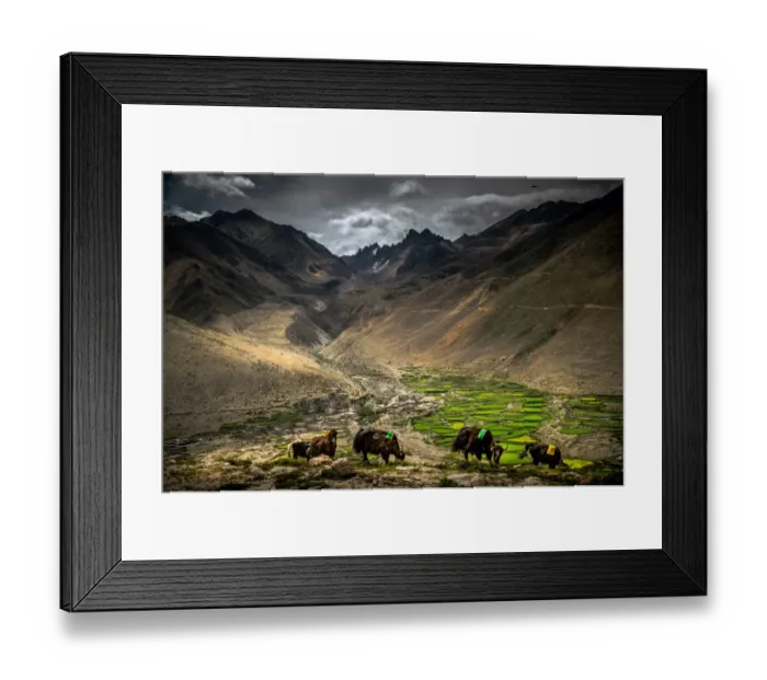 Framed Print : Green valley in Tibet Framed Print : Green valley in Tibet