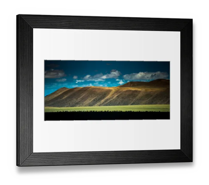 Framed Print : Silhouette sheep herd and Tibetan plateau Framed Print : Silhouette sheep herd and Tibetan plateau