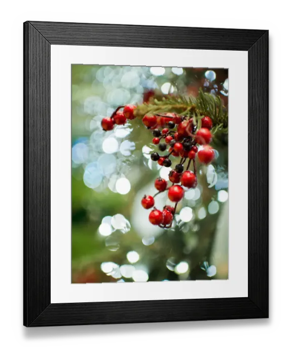 Framed Print : Christmas decoration Framed Print : Christmas decoration