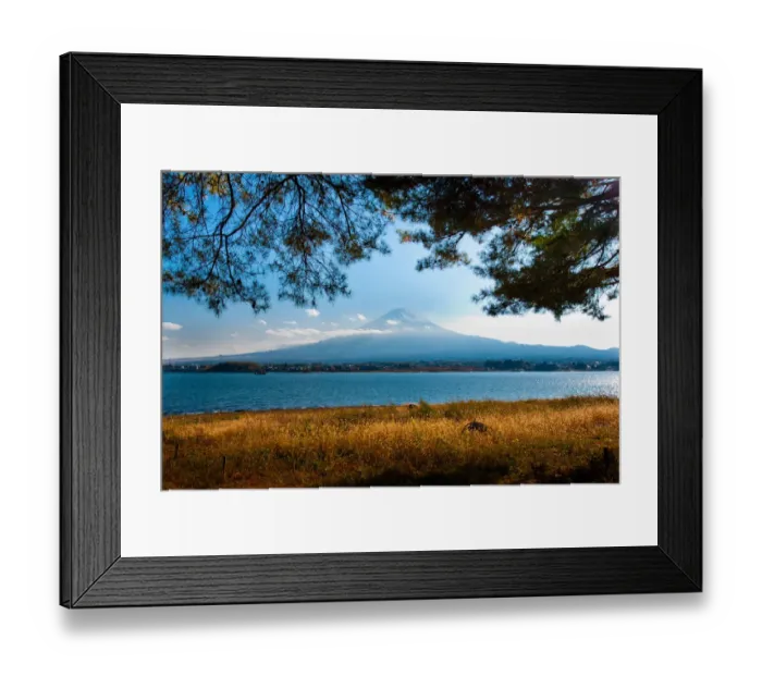 Framed Print : Mt. Fujiyama with pine trees as foreground Framed Print : Mt. Fujiyama with pine trees as foreground