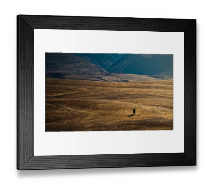 Framed Print : Lonely tree in middle of valley Framed Print : Lonely tree in middle of valley
