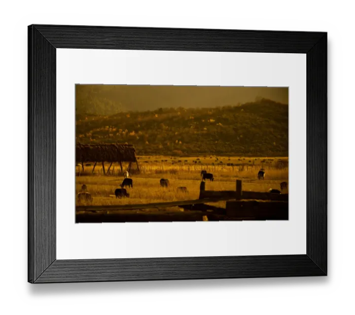 Framed Print : Farmland in China Framed Print : Farmland in China