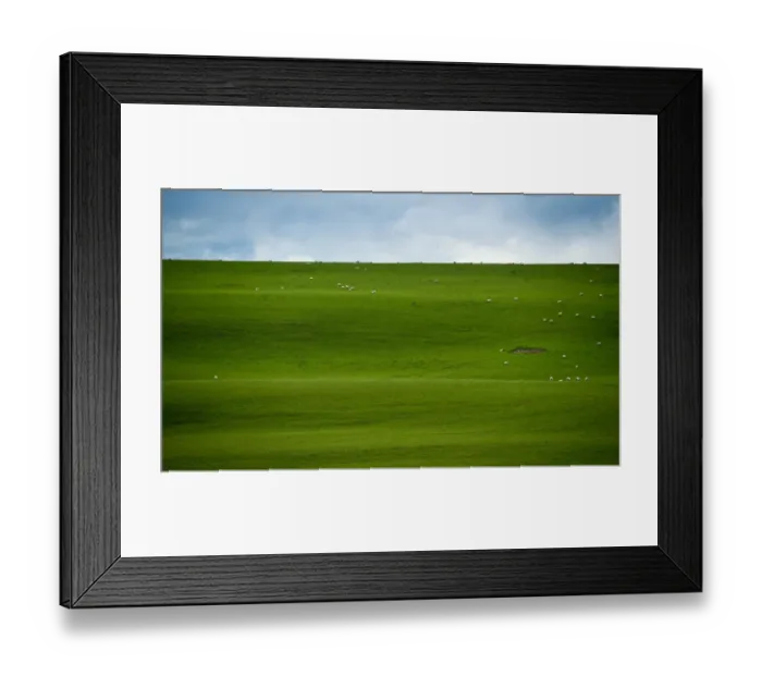 Framed Print : Sheep herd on big grass field