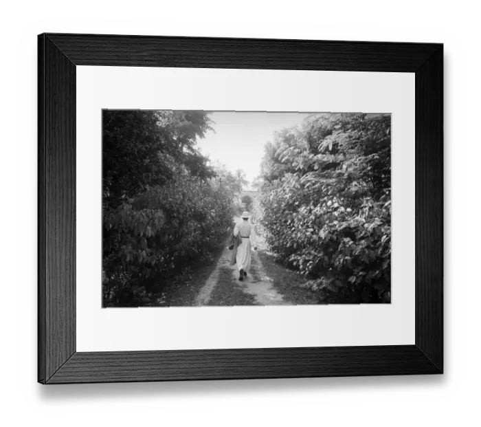 Framed Print : Walking In Assam Framed Print : Walking In Assam