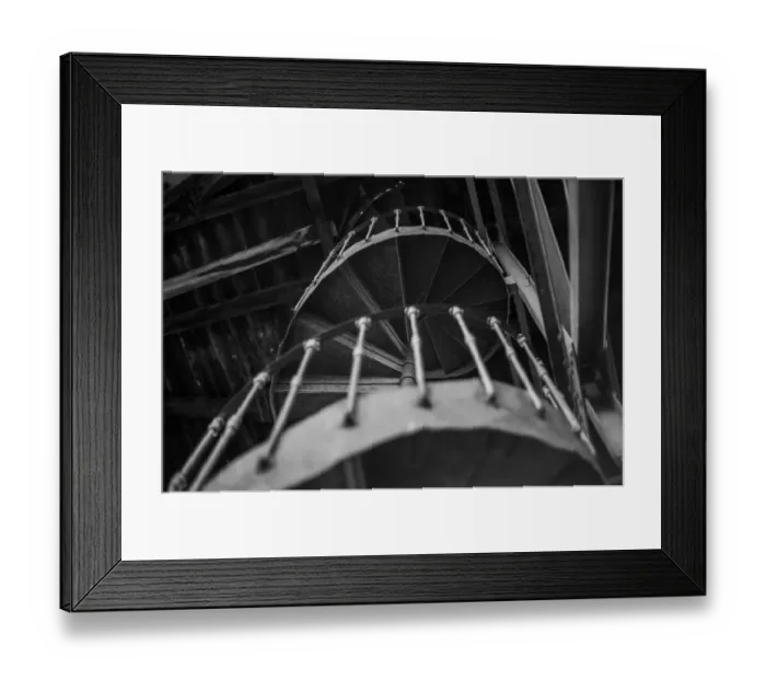 Framed Print : Take me to where the gold is