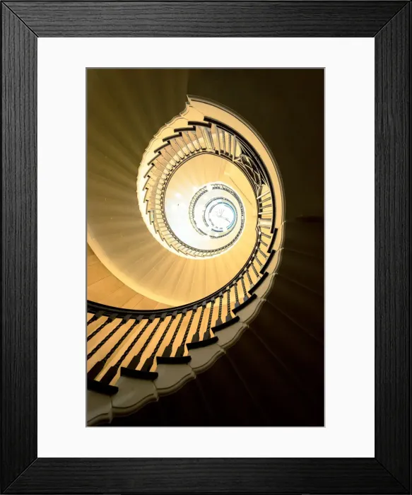 Framed Print : The Spiral Flower Framed Print : The Spiral Flower
