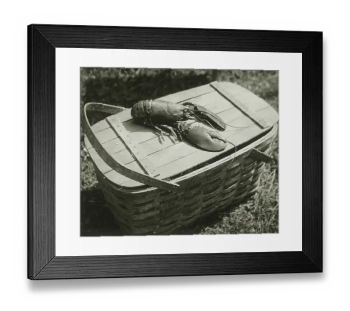 Framed Print : FPG (Originally known as Freelance Photographers Guild)