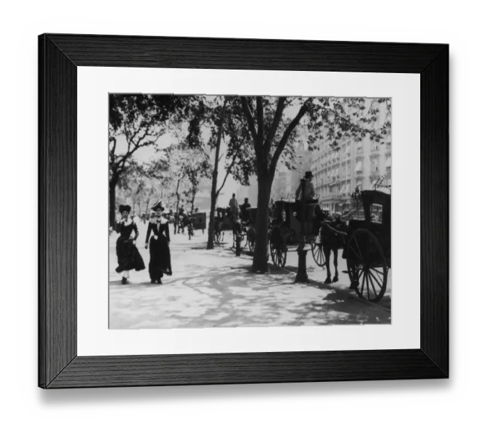 Framed Print : Madison Square Park Framed Print : Madison Square Park