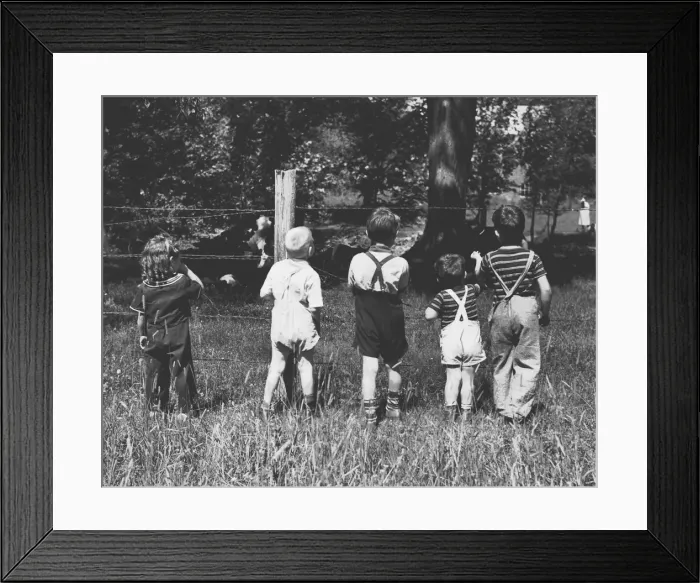 Framed Print : Group of Children Looking at Cows in a Field