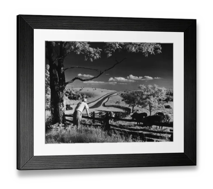 Framed Print : Pastoral View
