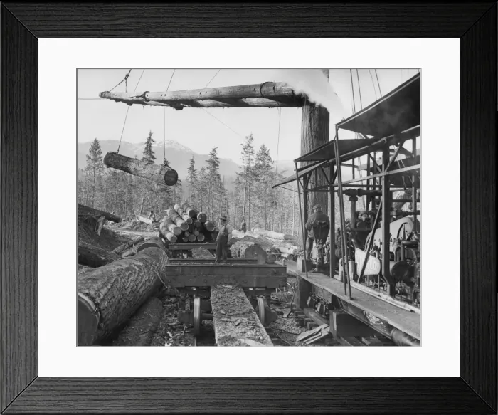 Framed Print : Loading Lumber Framed Print : Loading Lumber
