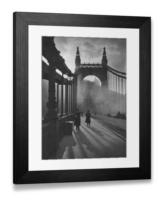 Framed Print : The Elizabeth Bridge Framed Print : The Elizabeth Bridge