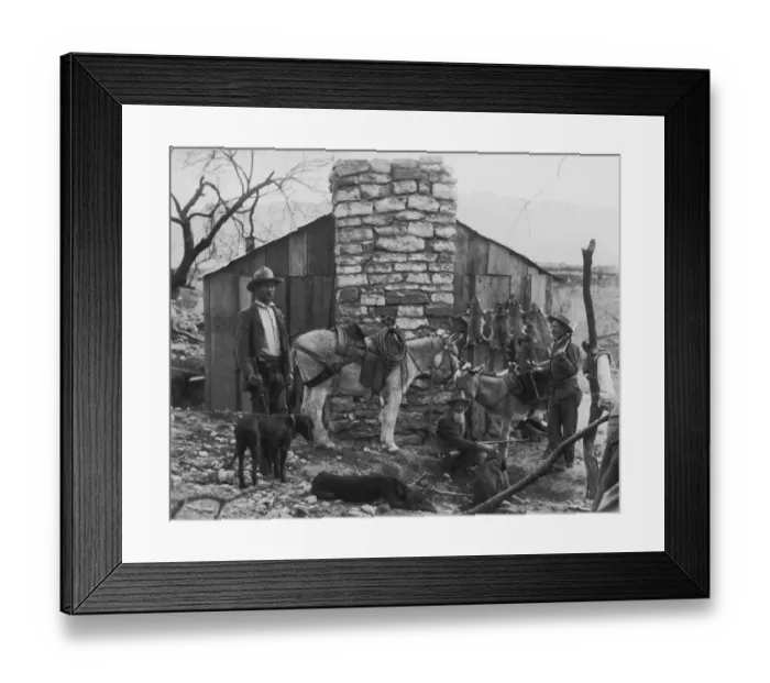 Framed Print : Arizona Life Framed Print : Arizona Life