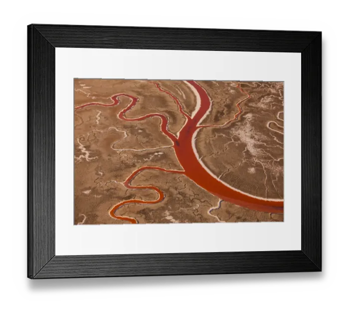 Framed Print : San Francisco Bay salt flats, with meandering water channels in California, USA Framed Print : San Francisco Bay salt flats, with meandering water channels in California, USA