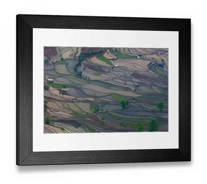Framed Print : Terraced rice paddy fields, Yuanyang, China Framed Print : Terraced rice paddy fields, Yuanyang, China