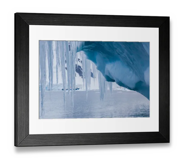 Framed Print : Icicles hanging from an iceberg, Antarctica Framed Print : Icicles hanging from an iceberg, Antarctica