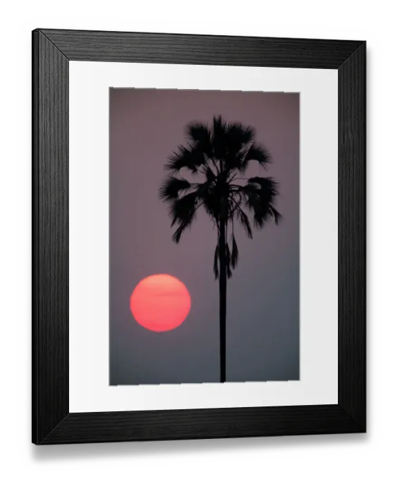 Framed Print : Sunset, Botswana Framed Print : Sunset, Botswana