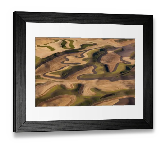Framed Print : Farmland landscape, with ploughed fields and furrows in Palouse, Washington, USA. An aerial view with natural patterns
