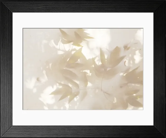 Framed Print : Leaves on a canvas, Mexico Framed Print : Leaves on a canvas, Mexico