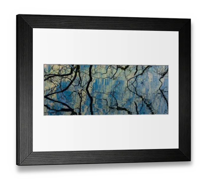 Framed Print : Branches dip into the surface of Lake Crescent, Olympic National Park, Washington, USA Framed Print : Branches dip into the surface of Lake Crescent, Olympic National Park, Washington, USA