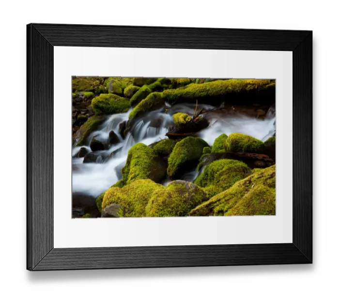 Framed Print : Barnes Creek, Olympic National Park, Washington, USA Framed Print : Barnes Creek, Olympic National Park, Washington, USA