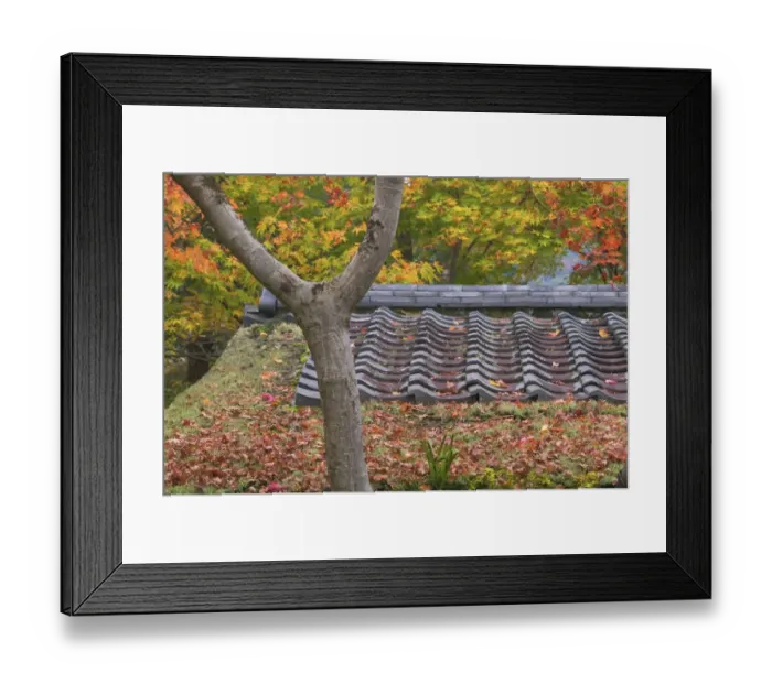 Framed Print : Maples around a Tea House, Kyoto, Honshu, Japan Framed Print : Maples around a Tea House, Kyoto, Honshu, Japan