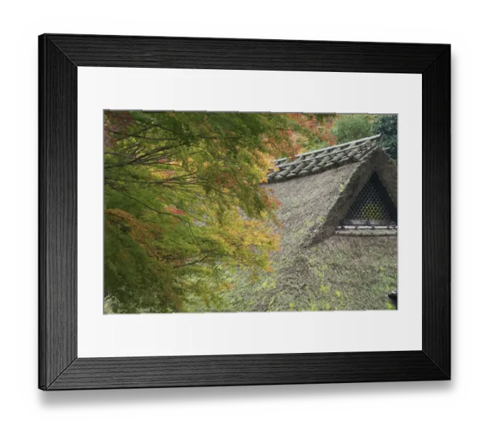 Framed Print : Traditional thatched roof and Japanese maples, Kyoto, Honshu, Japan Framed Print : Traditional thatched roof and Japanese maples, Kyoto, Honshu, Japan