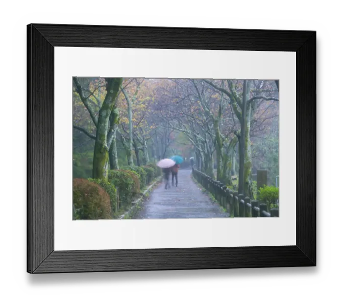 Framed Print : Pathway lined with Japanese maples, Kyoto, Honshu, Japan Framed Print : Pathway lined with Japanese maples, Kyoto, Honshu, Japan