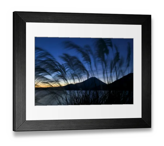 Framed Print : Wild grasses and Mount Fuji, Fuji-Hakone-Izu National Park, Honshu, Japan Framed Print : Wild grasses and Mount Fuji, Fuji-Hakone-Izu National Park, Honshu, Japan