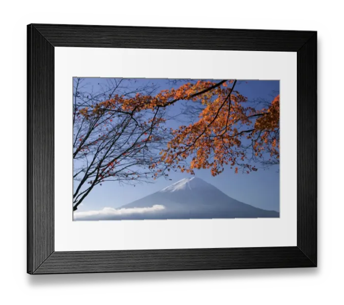 Framed Print : Japanese maples and Mount Fuji, Fuji-Hakone-Izu National Park, Honshu, Japan Framed Print : Japanese maples and Mount Fuji, Fuji-Hakone-Izu National Park, Honshu, Japan