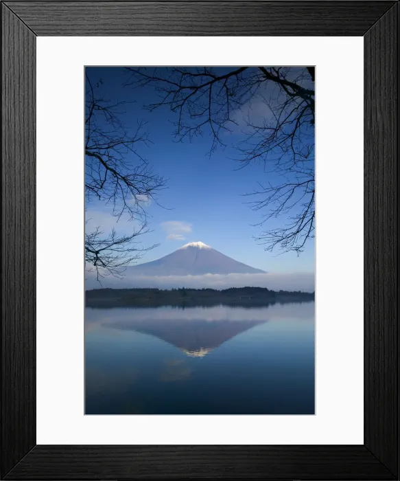 Framed Print : Mount Fuji reflected in Lake Motosu, Fuji-Hakone-Izu National Park, Honshu, Japan Framed Print : Mount Fuji reflected in Lake Motosu, Fuji-Hakone-Izu National Park, Honshu, Japan