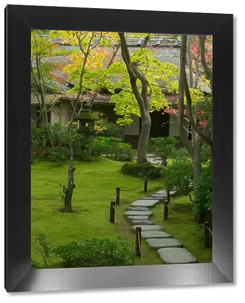 Garden detail, Kyoto, Honshu, Japan