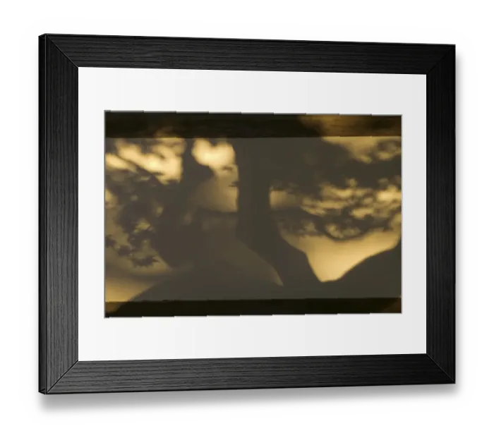 Framed Print : Shadow detail on wall, temple gardens, Kyoto, Honshu, Japan Framed Print : Shadow detail on wall, temple gardens, Kyoto, Honshu, Japan