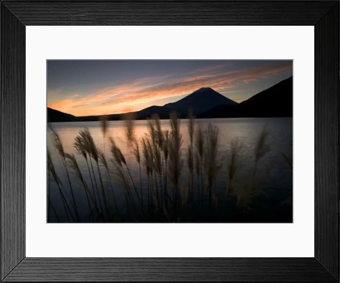 Framed Print : Wild grasses and Mount Fuji, Fuji-Hakone-Izu National Park, Honshu, Japan Framed Print : Wild grasses and Mount Fuji, Fuji-Hakone-Izu National Park, Honshu, Japan