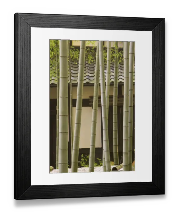 Framed Print : Bamboo and House detail, Kyoto, Honshu, Japan