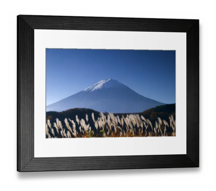 Framed Print : Wild grasses and Mount Fuji, Fuji-Hakone-Izu National Park, Honshu, Japan Framed Print : Wild grasses and Mount Fuji, Fuji-Hakone-Izu National Park, Honshu, Japan