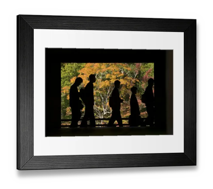 Framed Print : Silhouettes of visitors during fall colour festival, Kyoto, Honshu, Japan