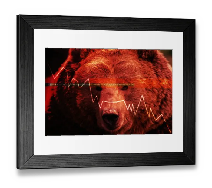 Framed Print : Grizzly Bear Framed Print : Grizzly Bear