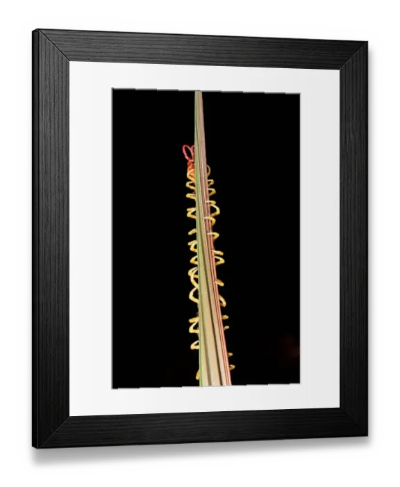 Framed Print : Centipede, Amazon Rainforest, Peru Framed Print : Centipede, Amazon Rainforest, Peru
