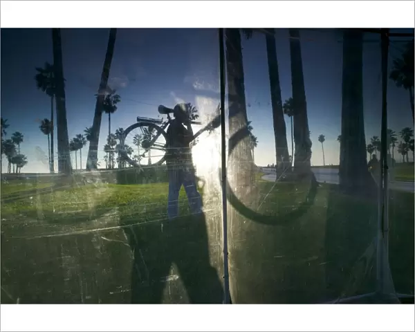 Window reflecting palm trees and cyclist carrying bicyle